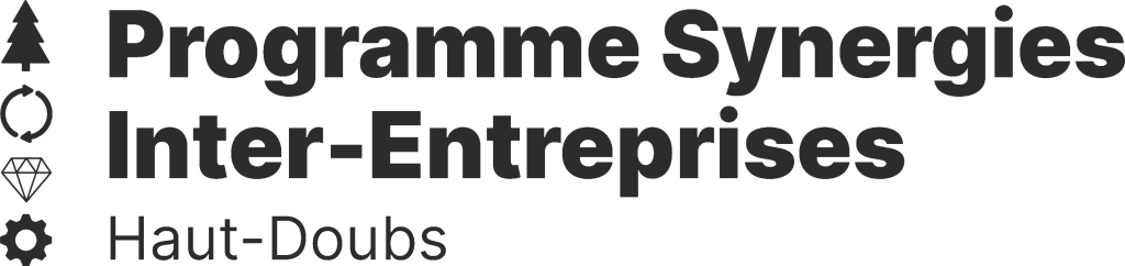 logo programme synergie inter entreprises 